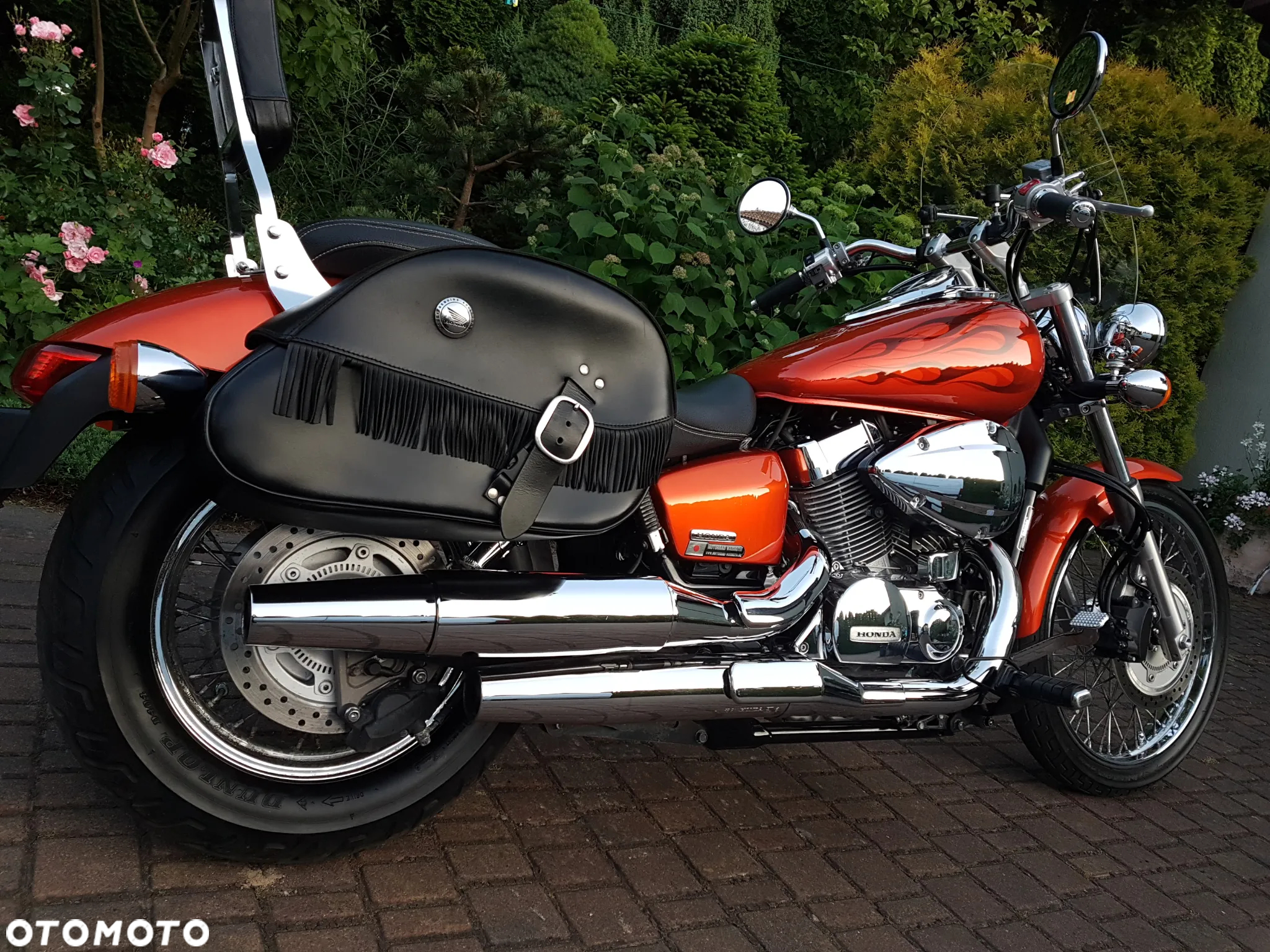 Honda Shadow - 14