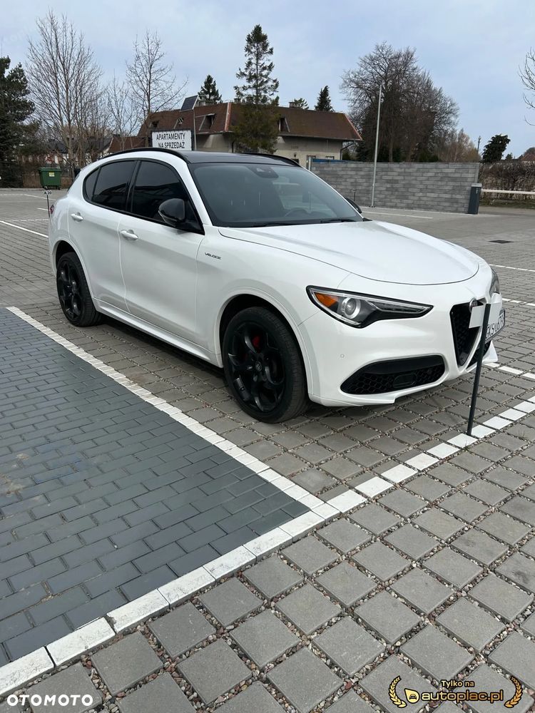 Alfa Romeo Stelvio 2.0 Turbo Veloce Q4 - 1