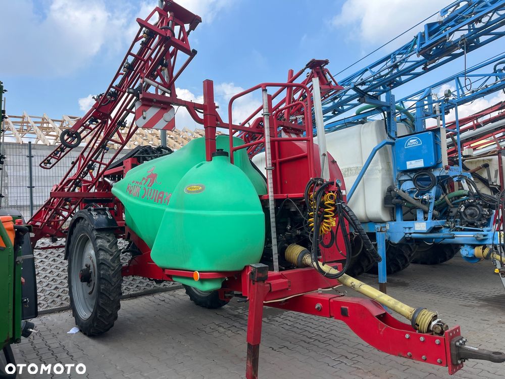 Krukowiak Goliat - 2