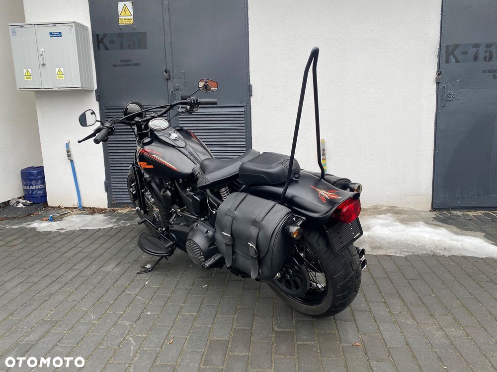 Harley-Davidson Softail Cross Bones - 9