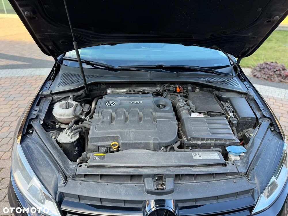 Volkswagen Golf VII 1.6 TDI BMT Comfortline - 21