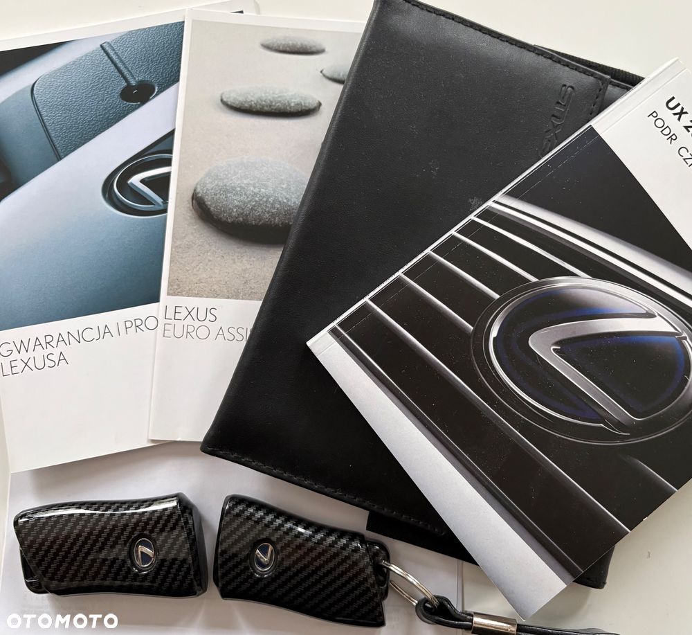 Lexus UX 250h GPF Business Edition 2WD - 29