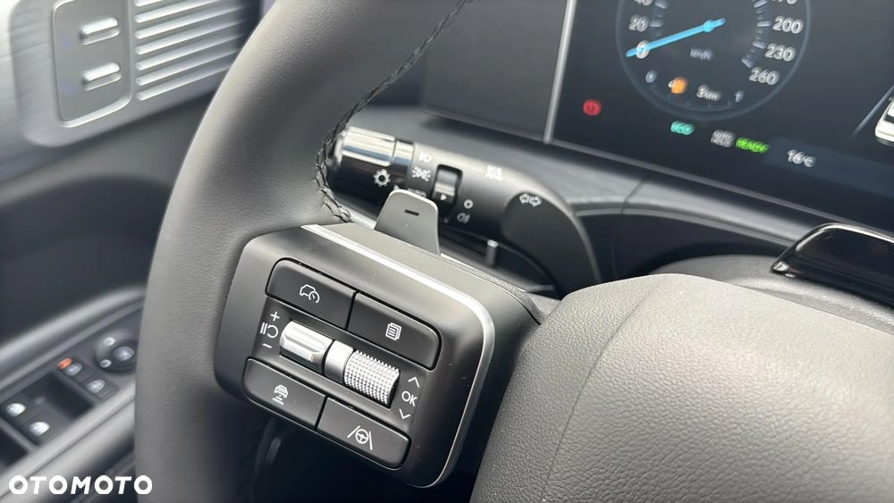 Hyundai Santa Fe - 19