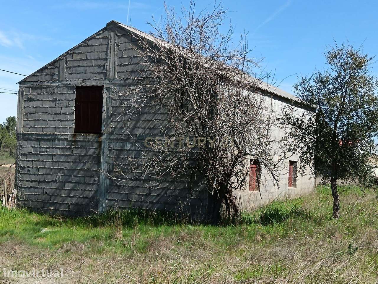 Terreno rústico com 7840m2 em Pousafoles, Sarzedas - Grande imagem: 2/23