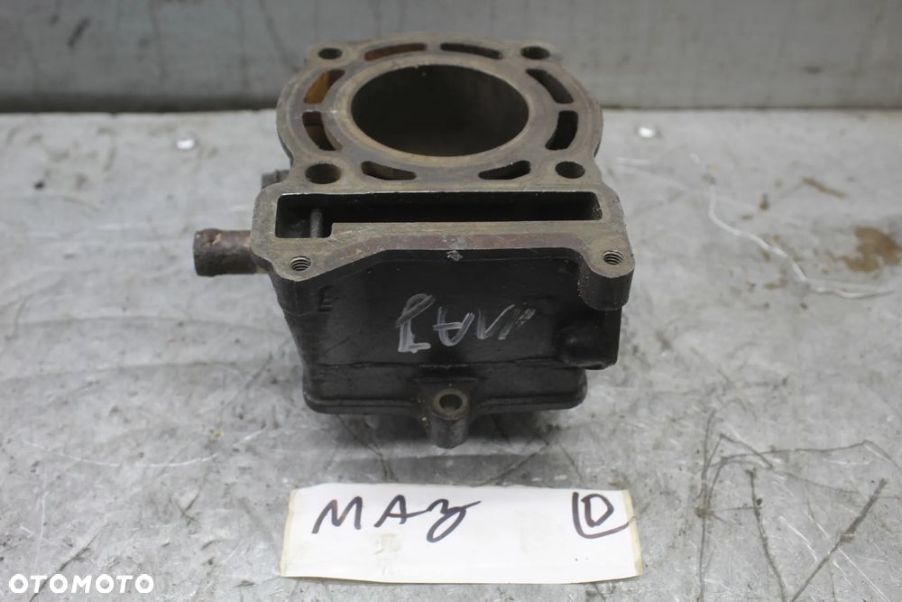 Yamaha Majesty 125 cylinder - 3