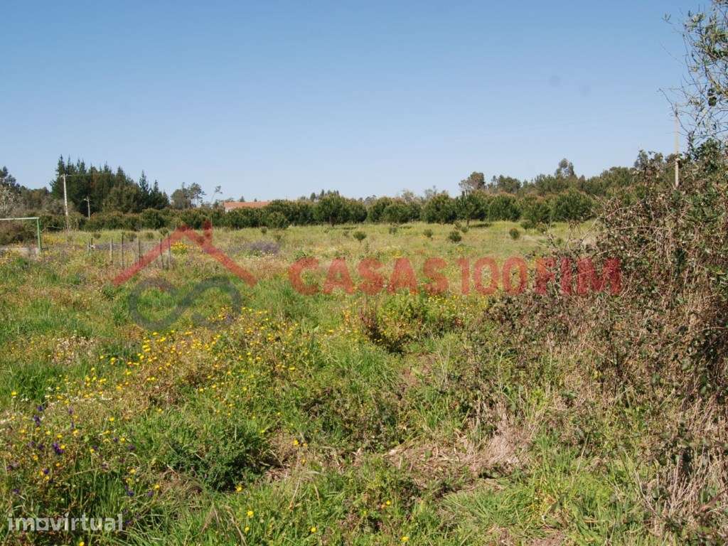 Terreno agrícola com 720m2, com poço, em Calvaria de Baixo, Batalha - Grande imagem: 4/5