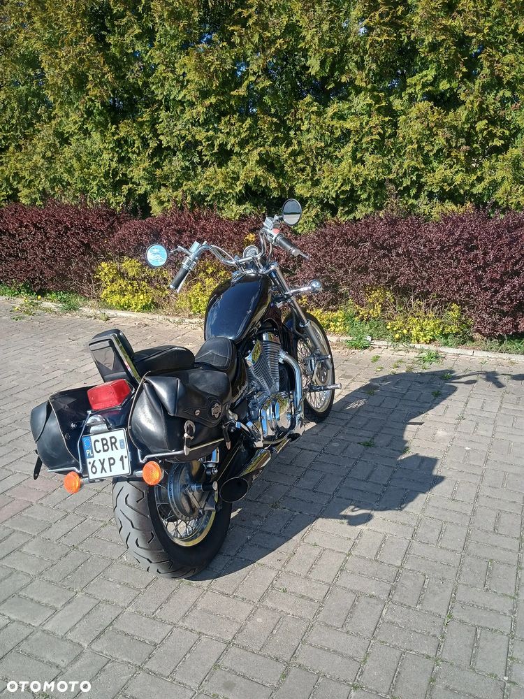 Suzuki Intruder - 10