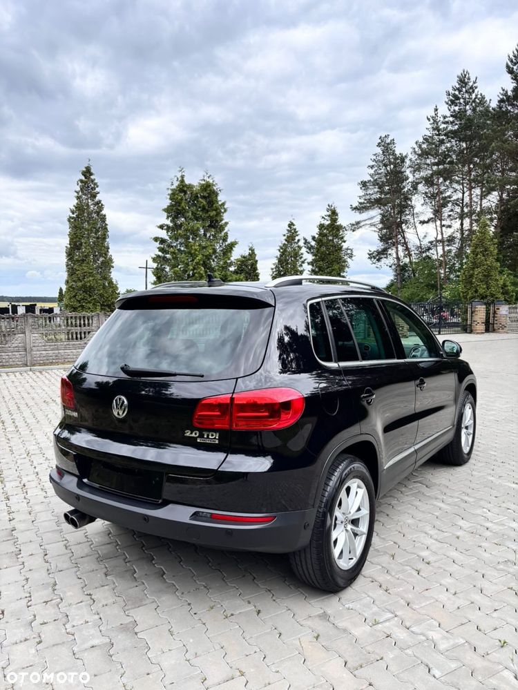 Volkswagen Tiguan - 10