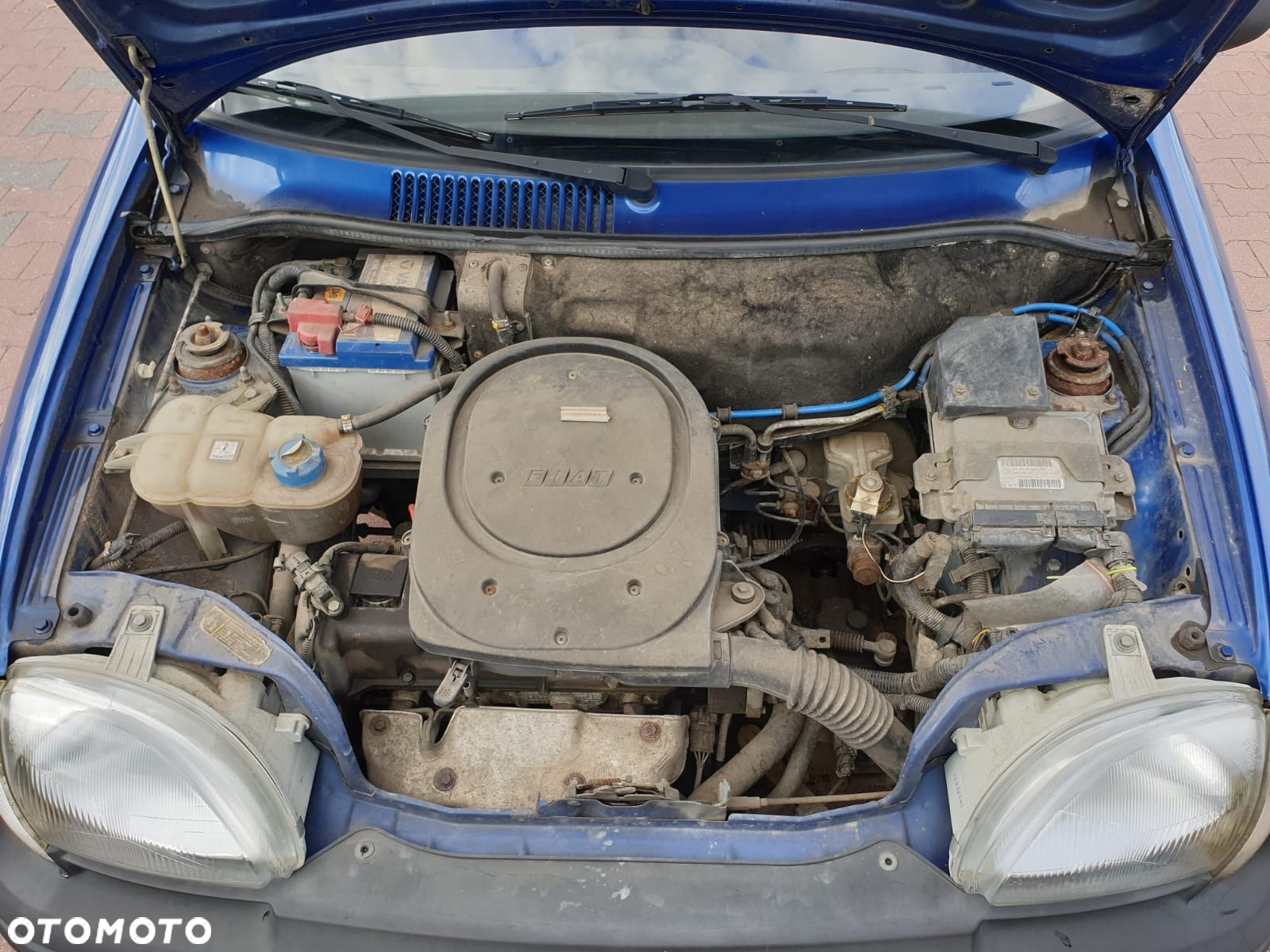 Fiat Seicento - 15