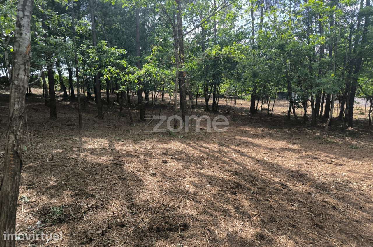 Terreno Urbanizável Amares - Braga - Grande imagem: 5/19