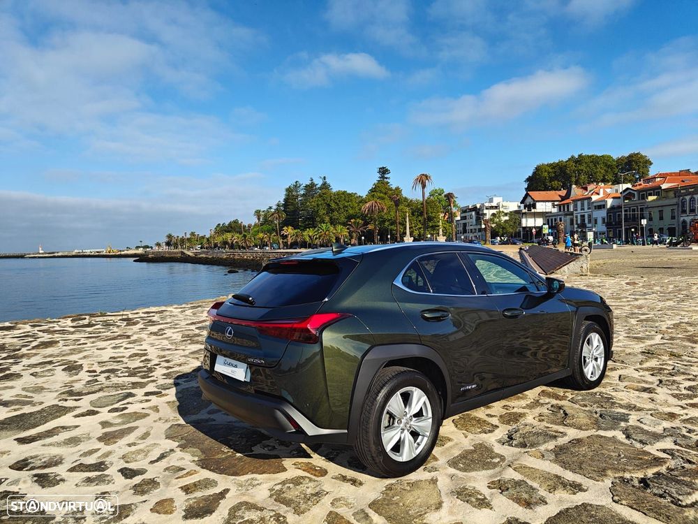 Lexus UX 250h Executive+ - 7