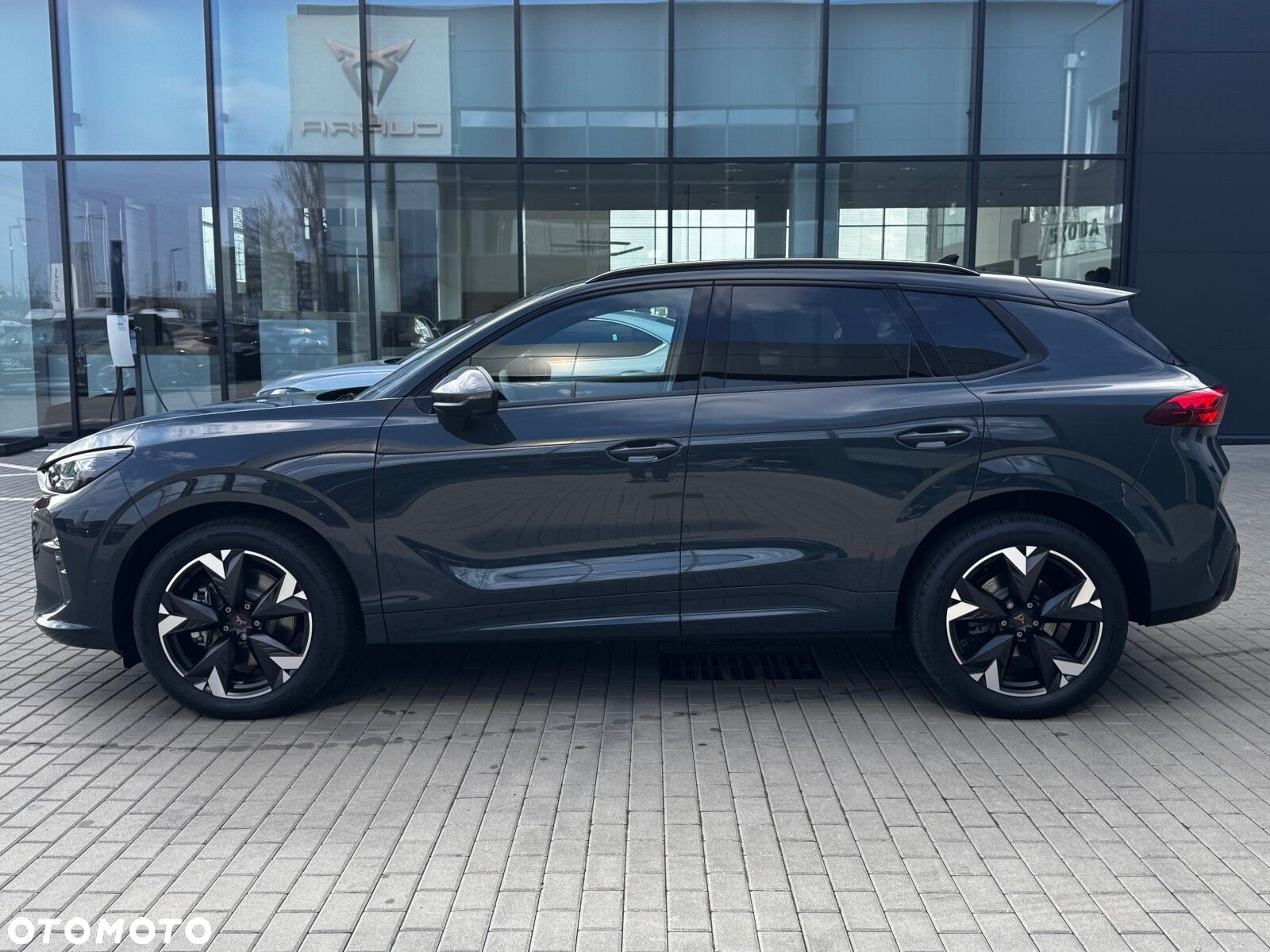 Cupra Terramar 2.0 TSI 4Drive DSG - 11