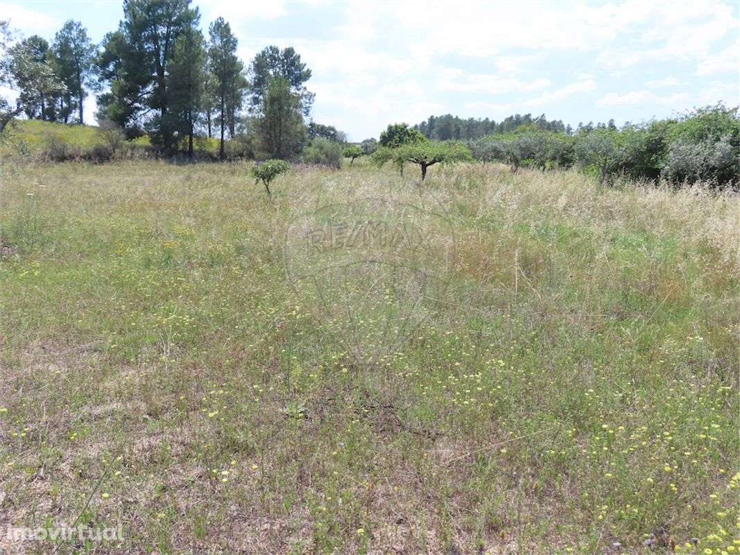 Quinta  para venda - Grande imagem: 5/13