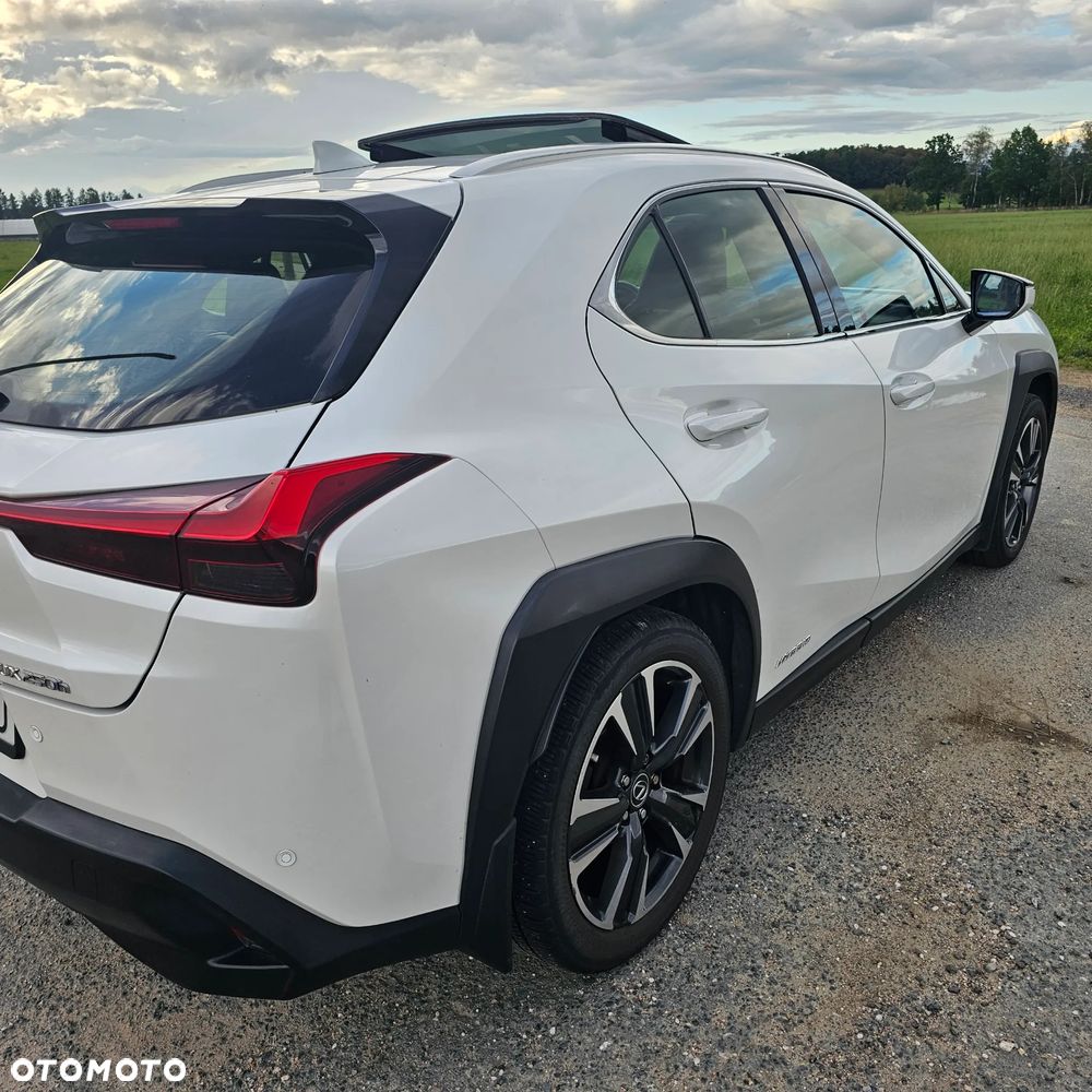 Lexus UX - 5