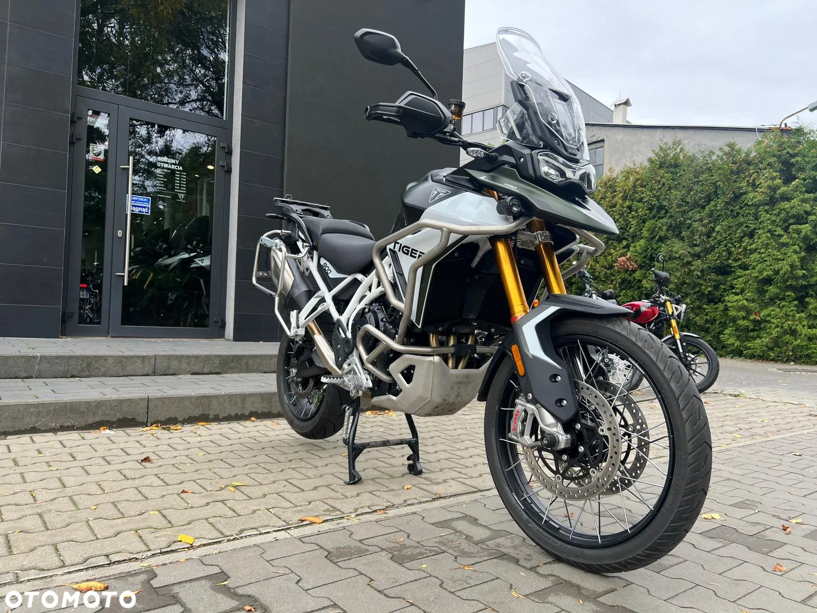 Triumph Tiger