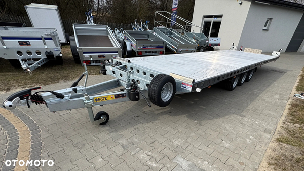 Wiola L35G55P
