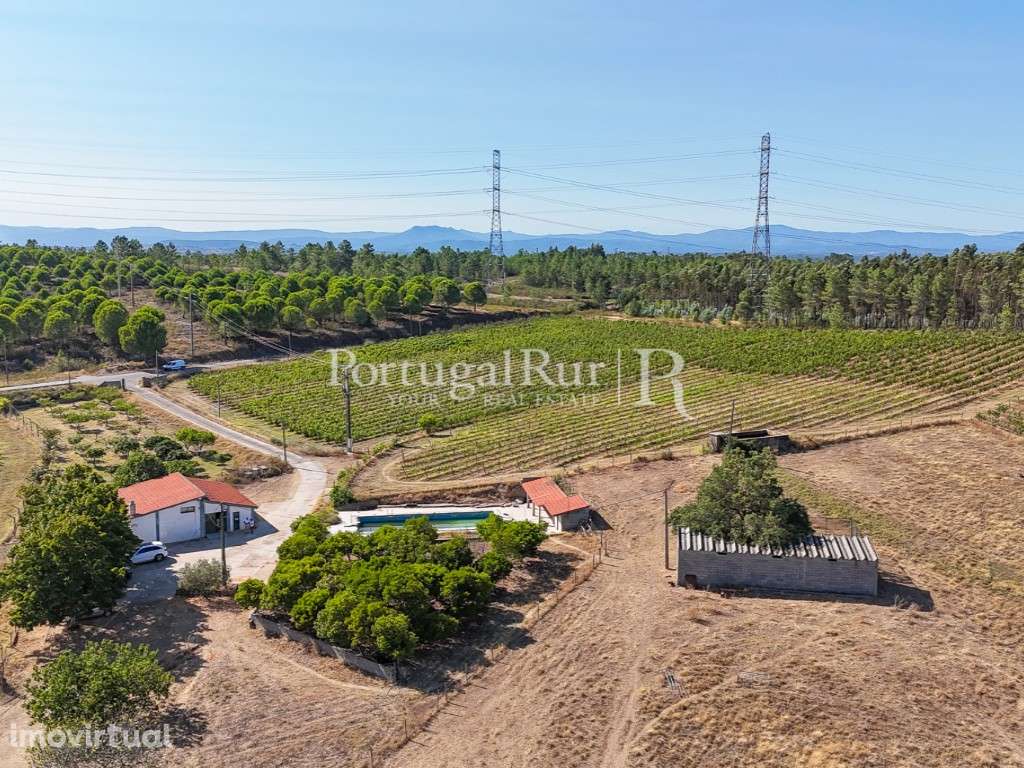 Herdade Vinícola com 33ha e adega equipada perto de Castelo Branco - Grande imagem: 3/60