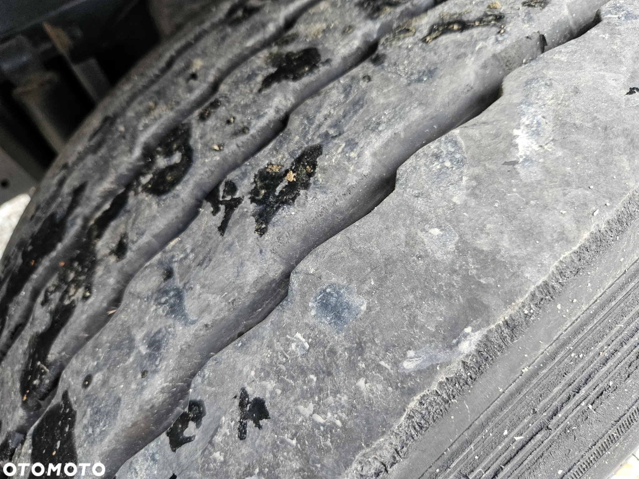 MAN TGX 26.500 6X2 / ZESTAW / PALFINGER 20.501L / ACC  / NAVI - 20