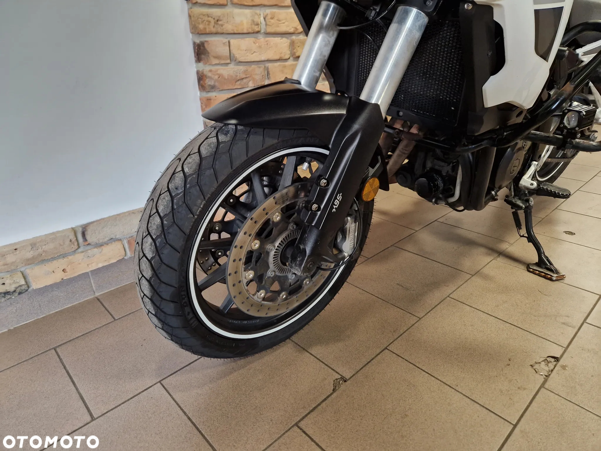 Benelli TRK 502 - 12