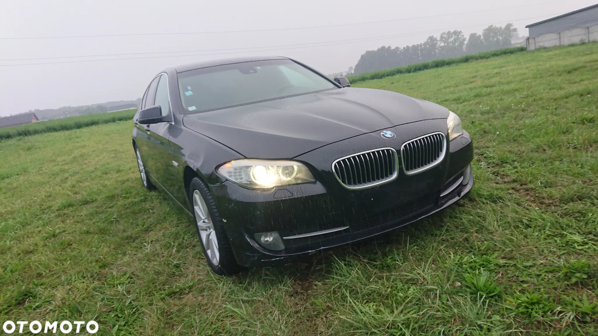 BMW Seria 3 325d DPF Edition Sport - 14