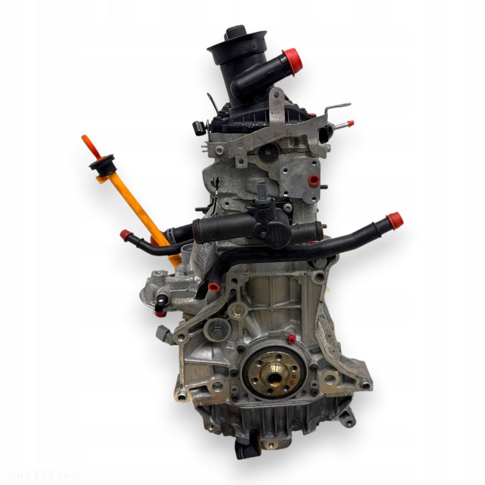 SILNIK BGU BSE CMX Audi A3 II 8P VW Golf V VI Jetta III Touran 1.6 8V 102KM - 7