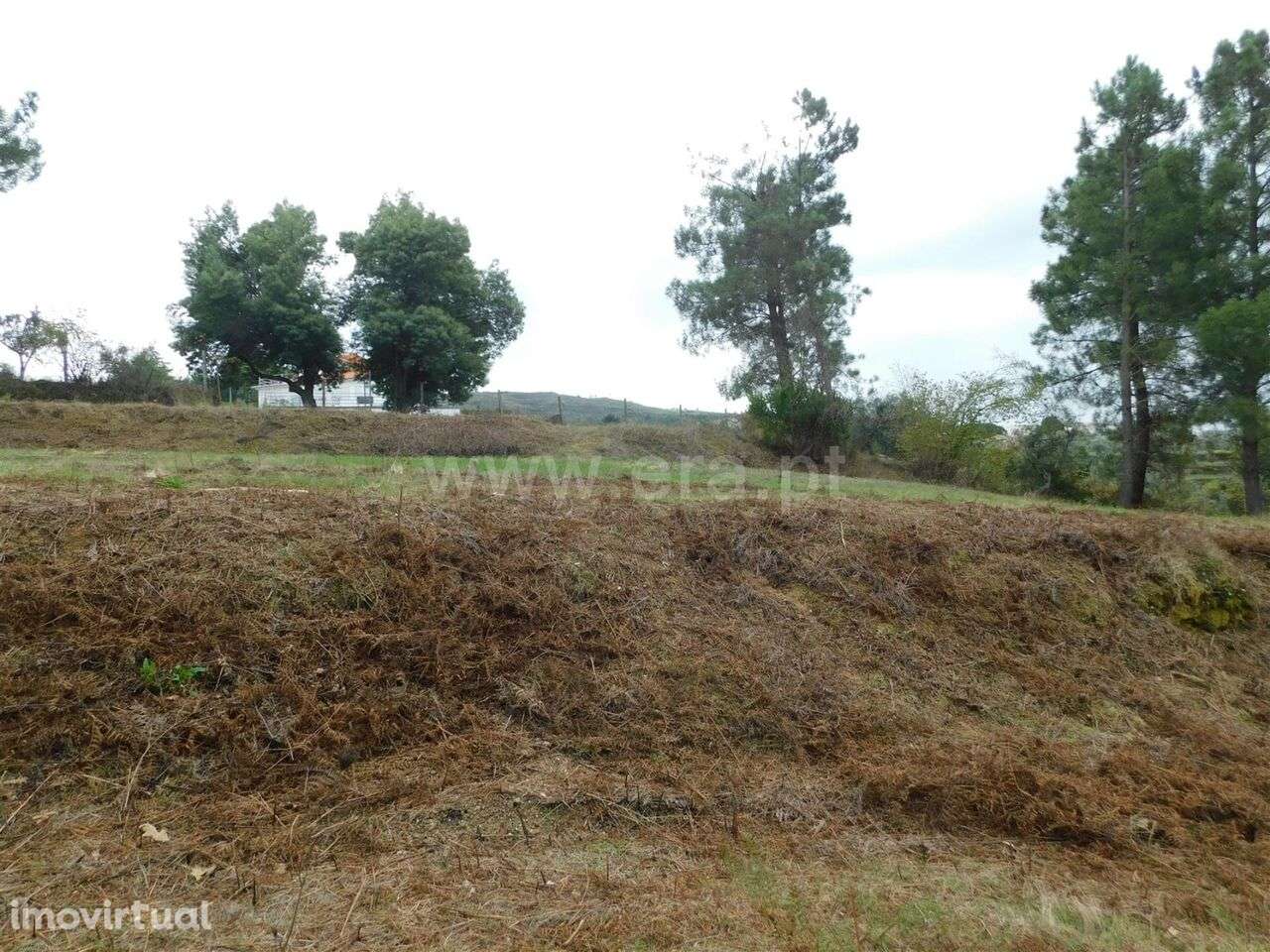 Terreno / Gouveia, São Paio - Grande imagem: 3/12