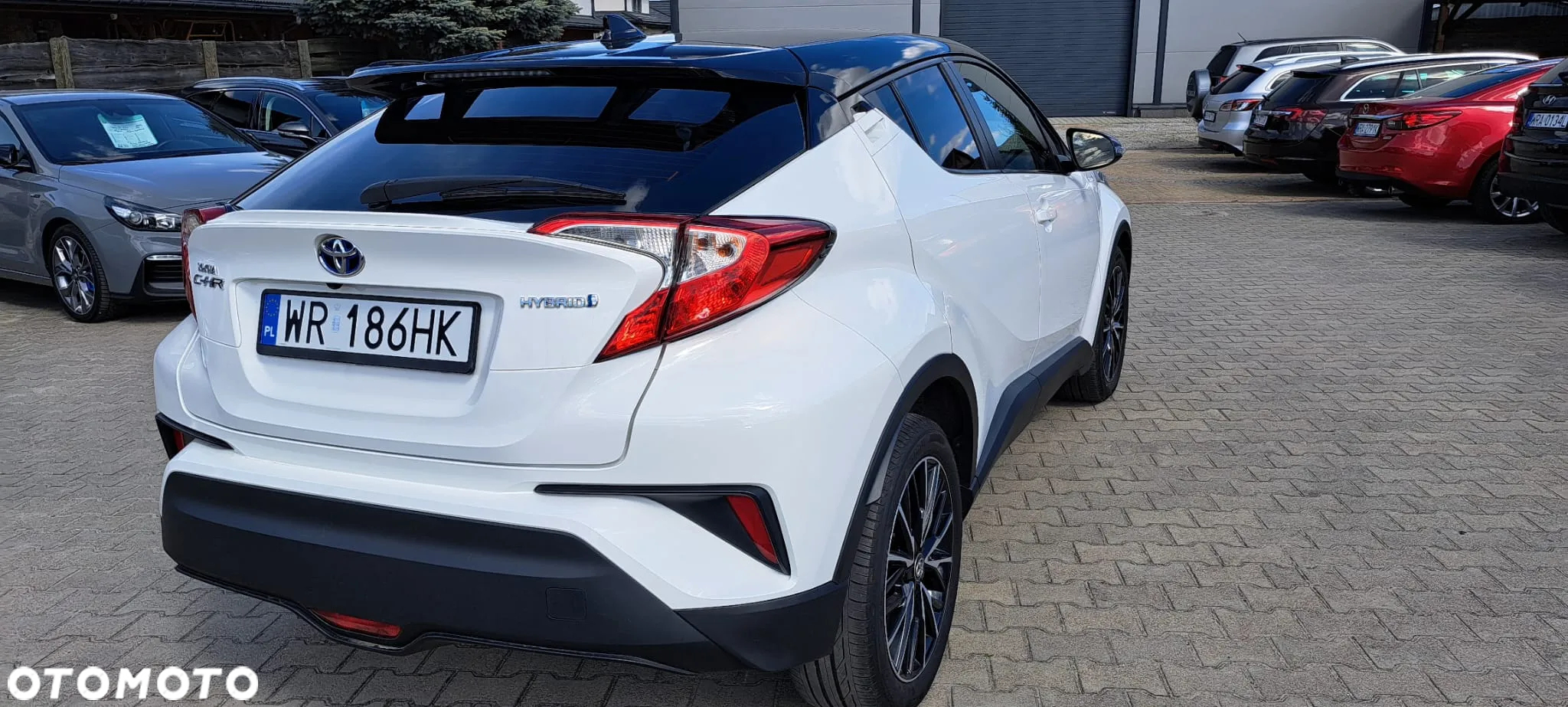 Toyota C-HR 1.8 Hybrid Black&White - 14