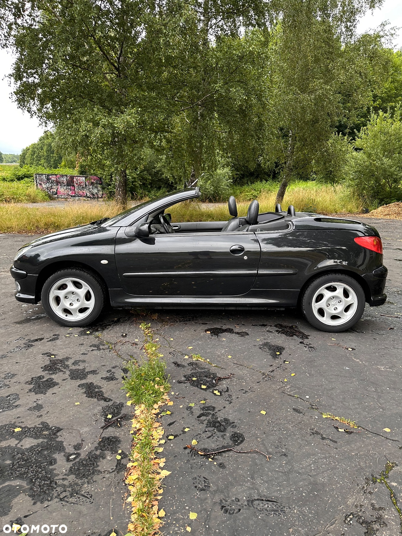 Peugeot 206 CC - 11
