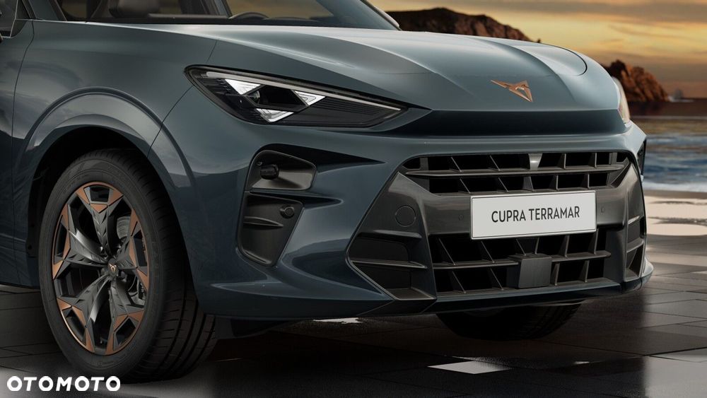 Cupra Terramar - 9
