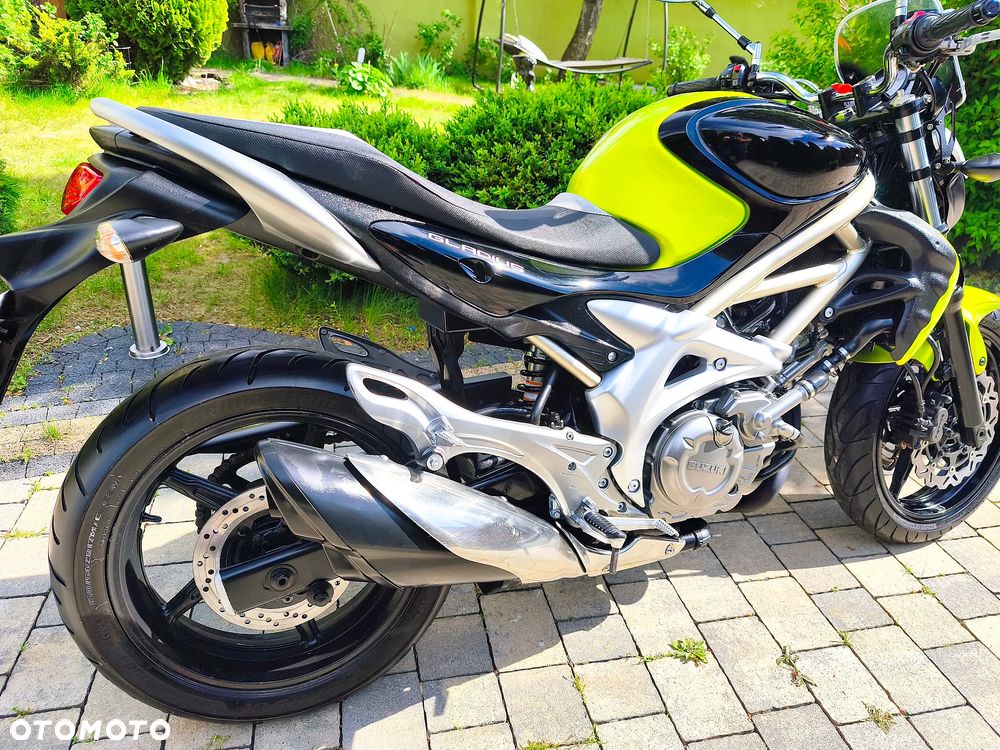 Suzuki Gladius - 13