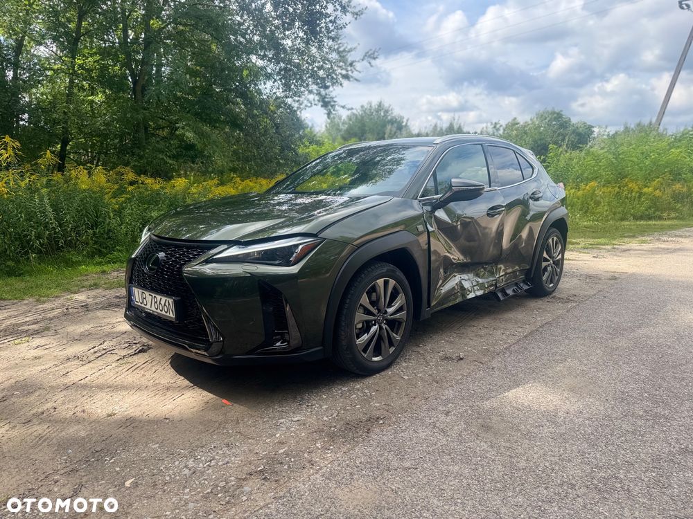 Lexus UX 300h F Sport AWD - 7