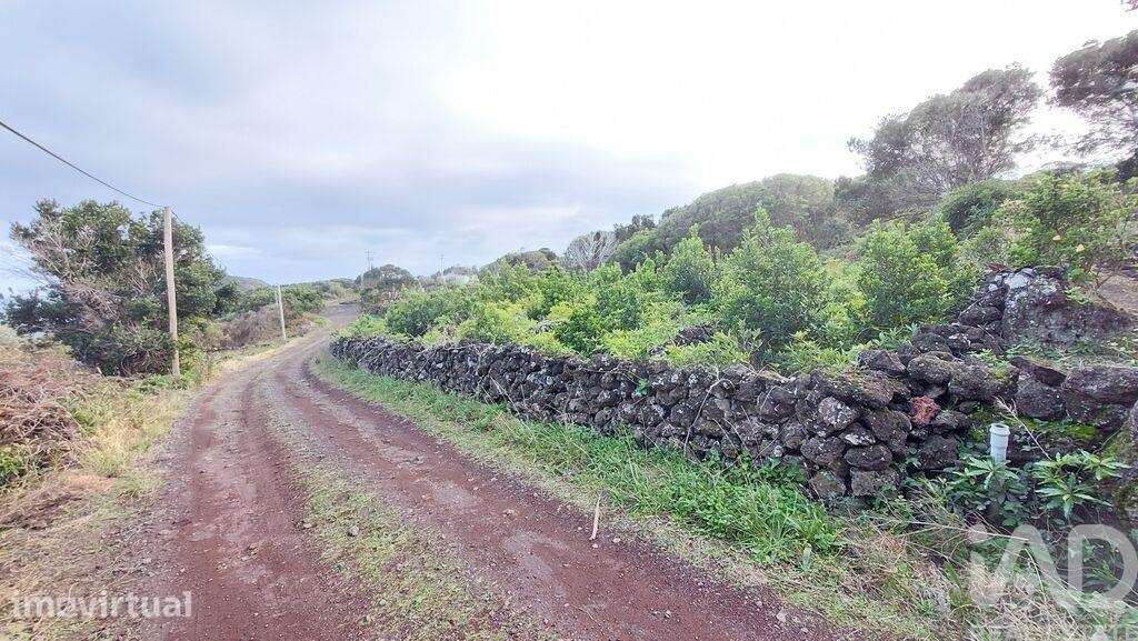 Terreno Agrícola em Piedade - Grande imagem: 5/16
