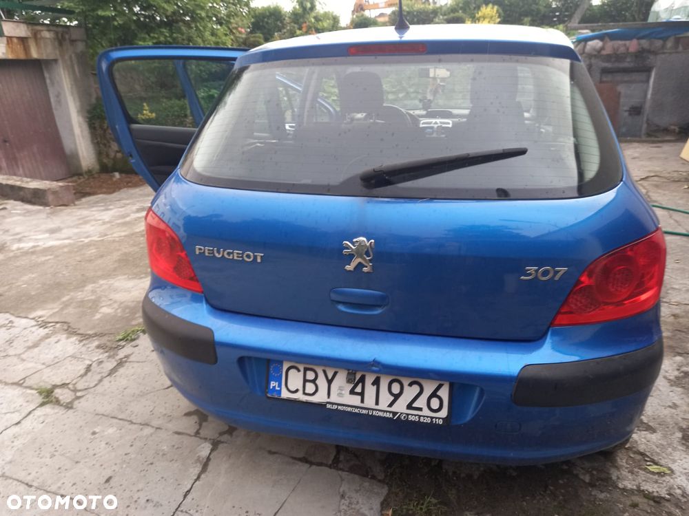 Peugeot 307 1.4 Presence - 9