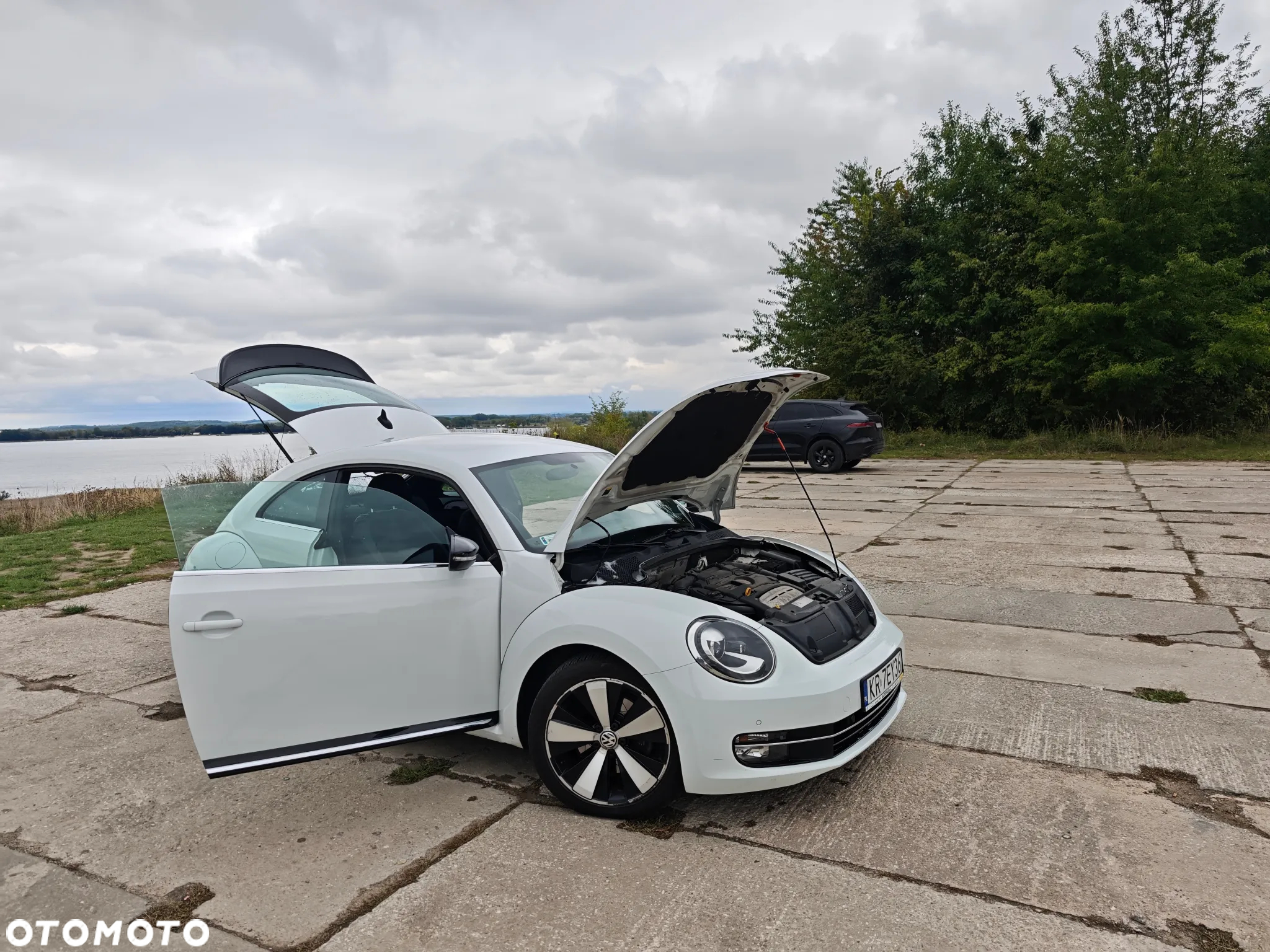 Volkswagen Beetle - 7