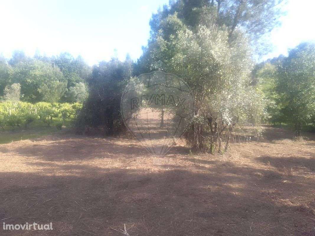 Terreno  para venda - Grande imagem: 2/5