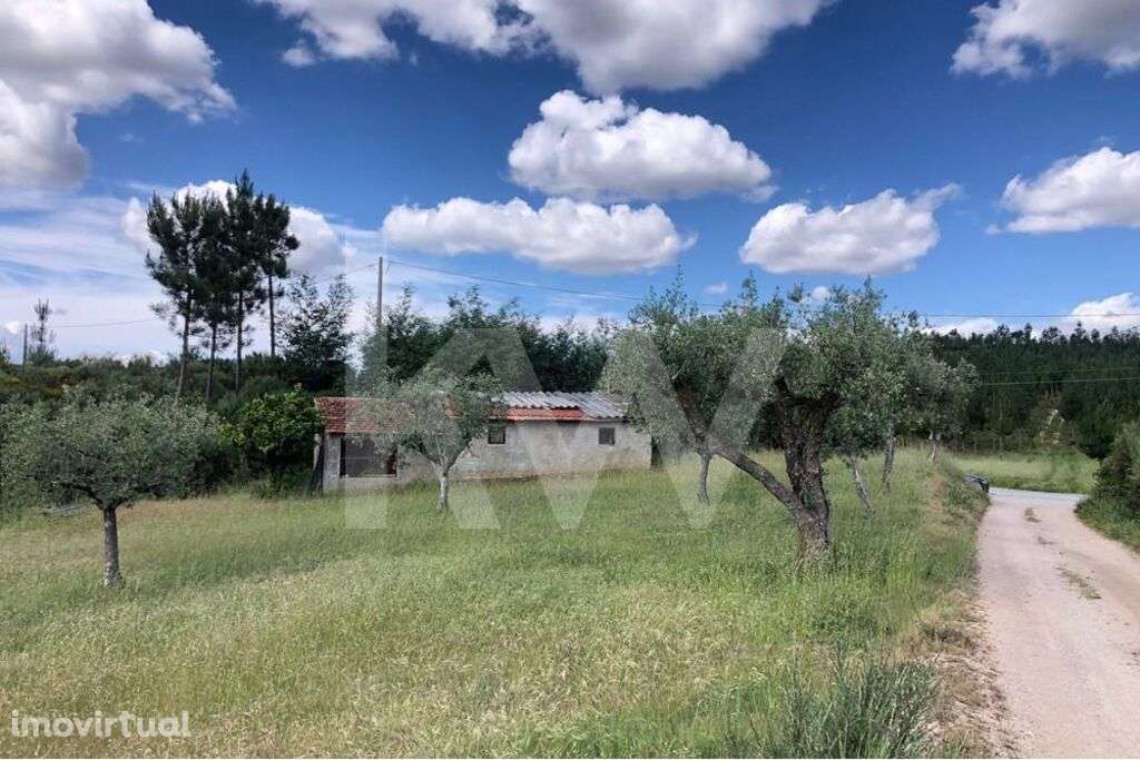 Terreno agrícola com Casa de arrumos para reconstrução | Bom acesso - Grande imagem: 3/11