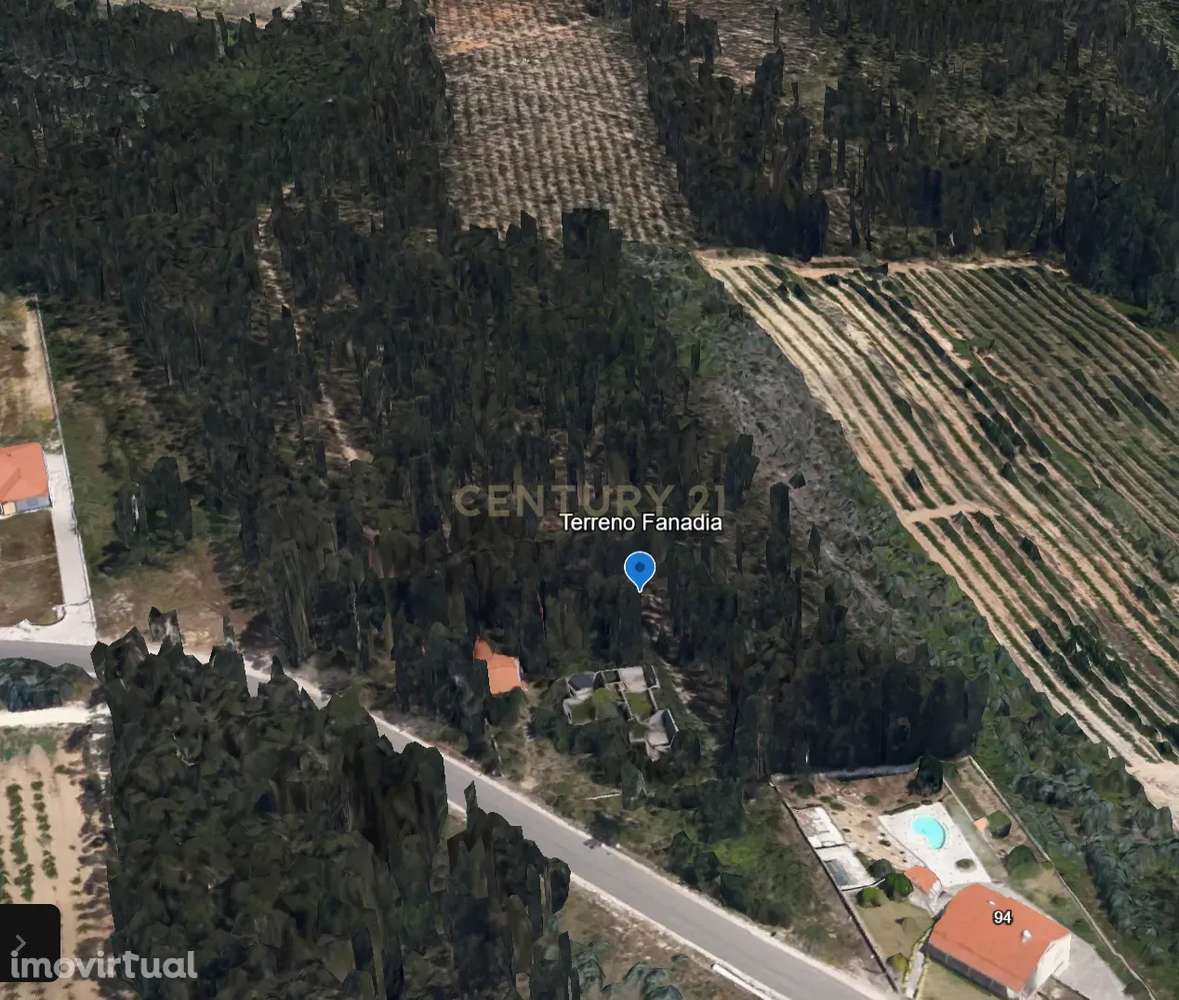 Terreno Rústico de 33.550 m2 em Caldas da Rainha com vista campestre - Grande imagem: 2/14