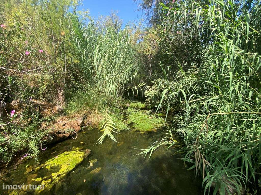 Lote de terreno rústico na Fonte da Benémola, Loulé, Algarve - Grande imagem: 2/25