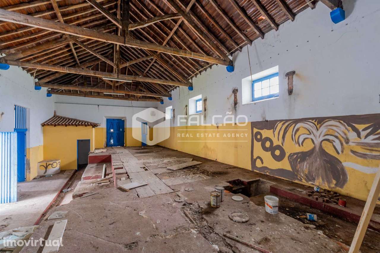 Fábrica/Indústria  Venda em Olaia e Paço,Torres Novas - Grande imagem: 5/32