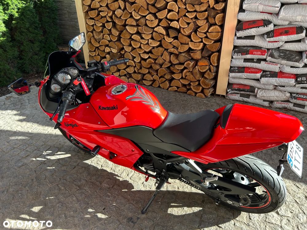 Kawasaki Ninja 250R - 6
