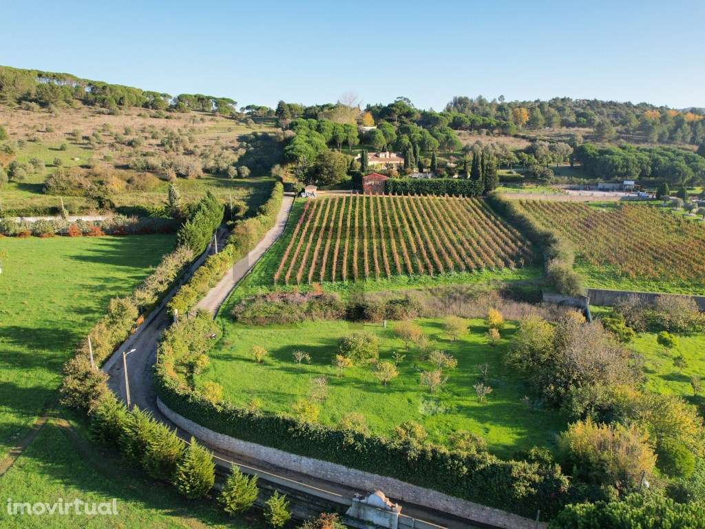 Quinta com Piscina e Vinha para Venda em Azeitão, Arrábida - Grande imagem: 4/60
