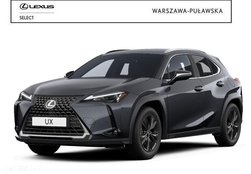 Lexus UX 300h Business