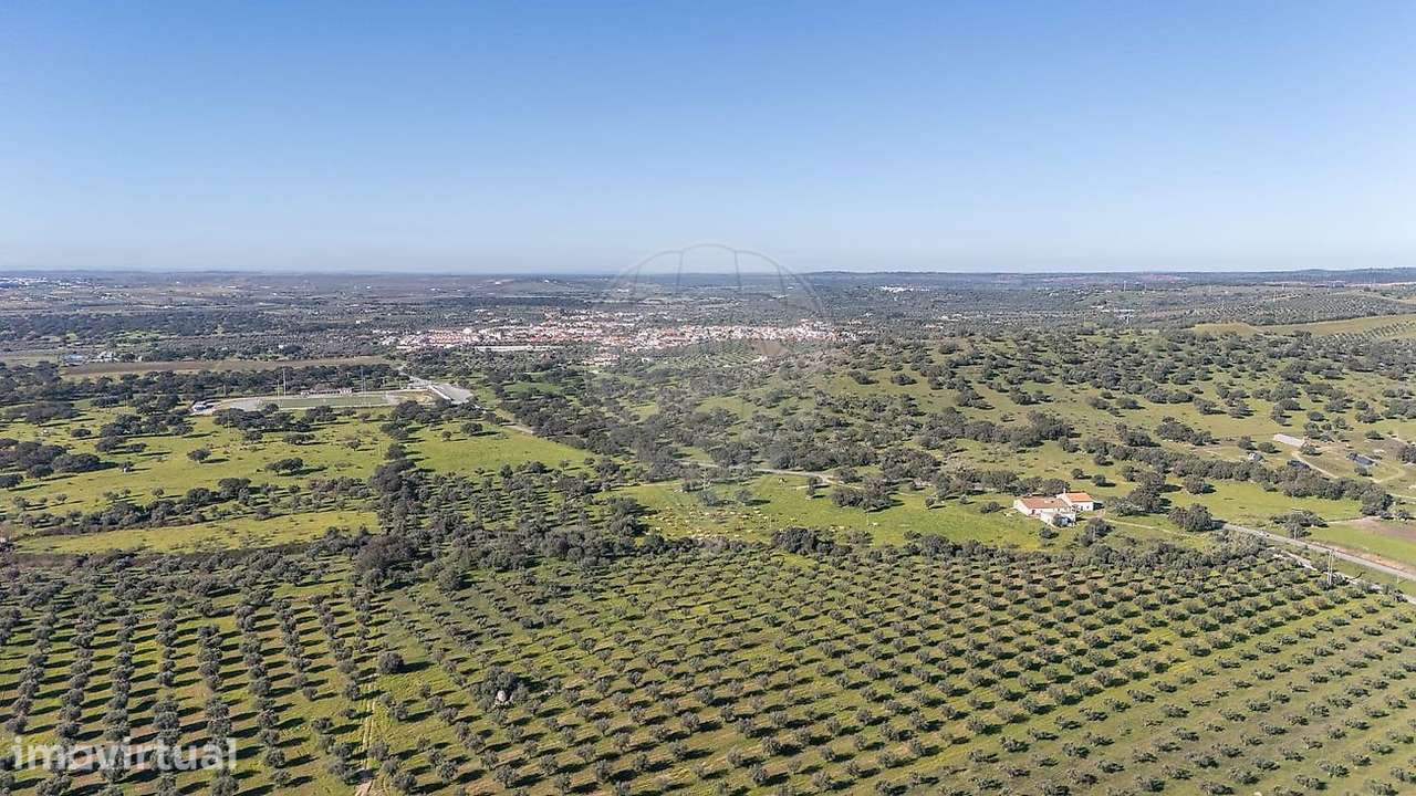 Herdade  para venda - Grande imagem: 3/32