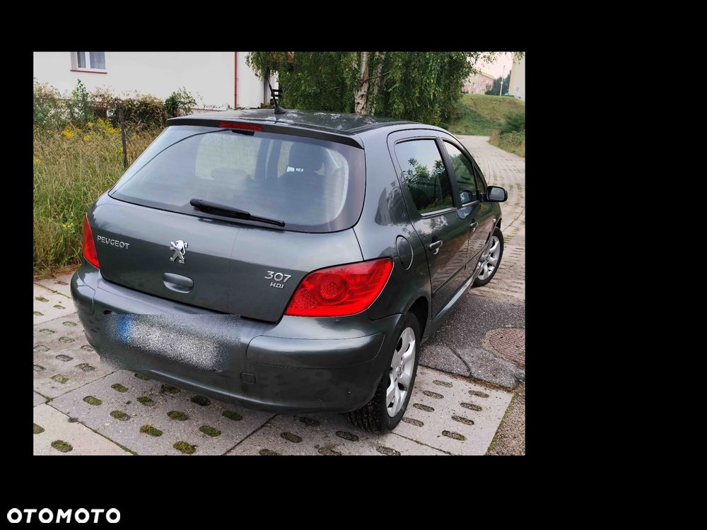 Peugeot 307 1.6 HDI Oxygo - 6