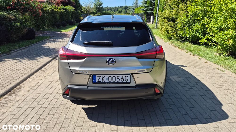 Lexus UX 250h Prestige 2WD - 9