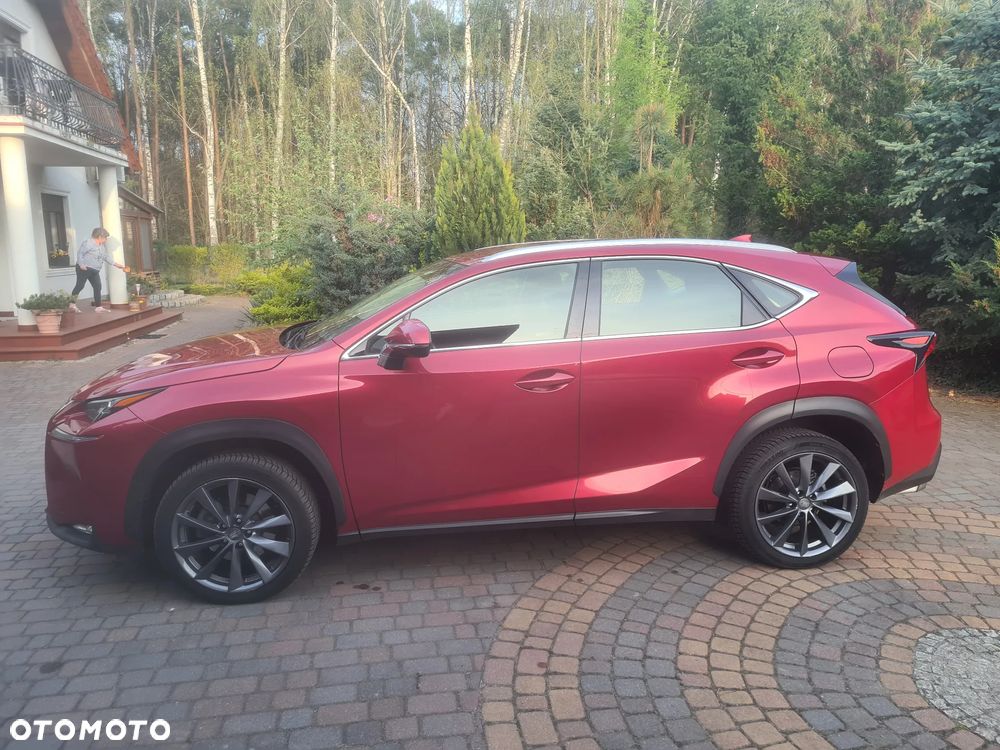 Lexus NX 200t Elegance 2WD - 12