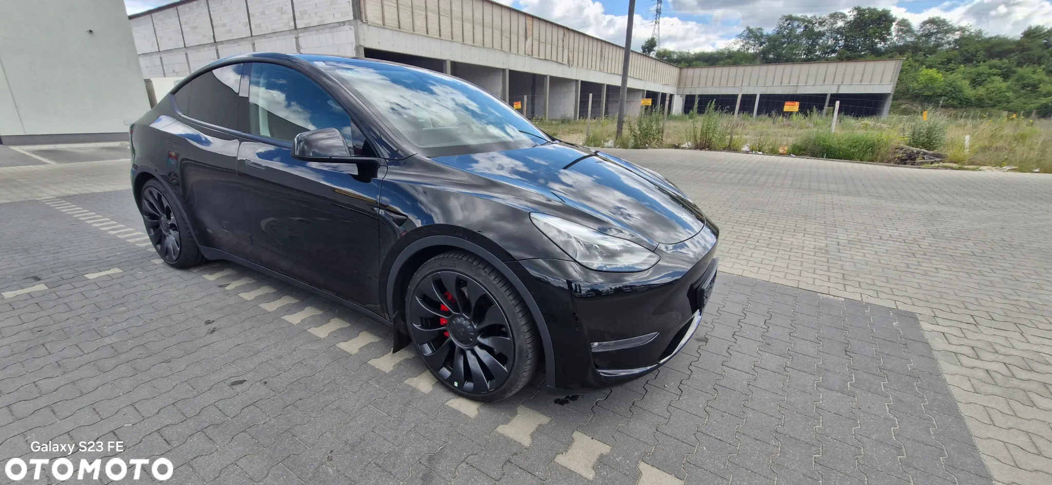 Tesla Y Performance AWD - 7