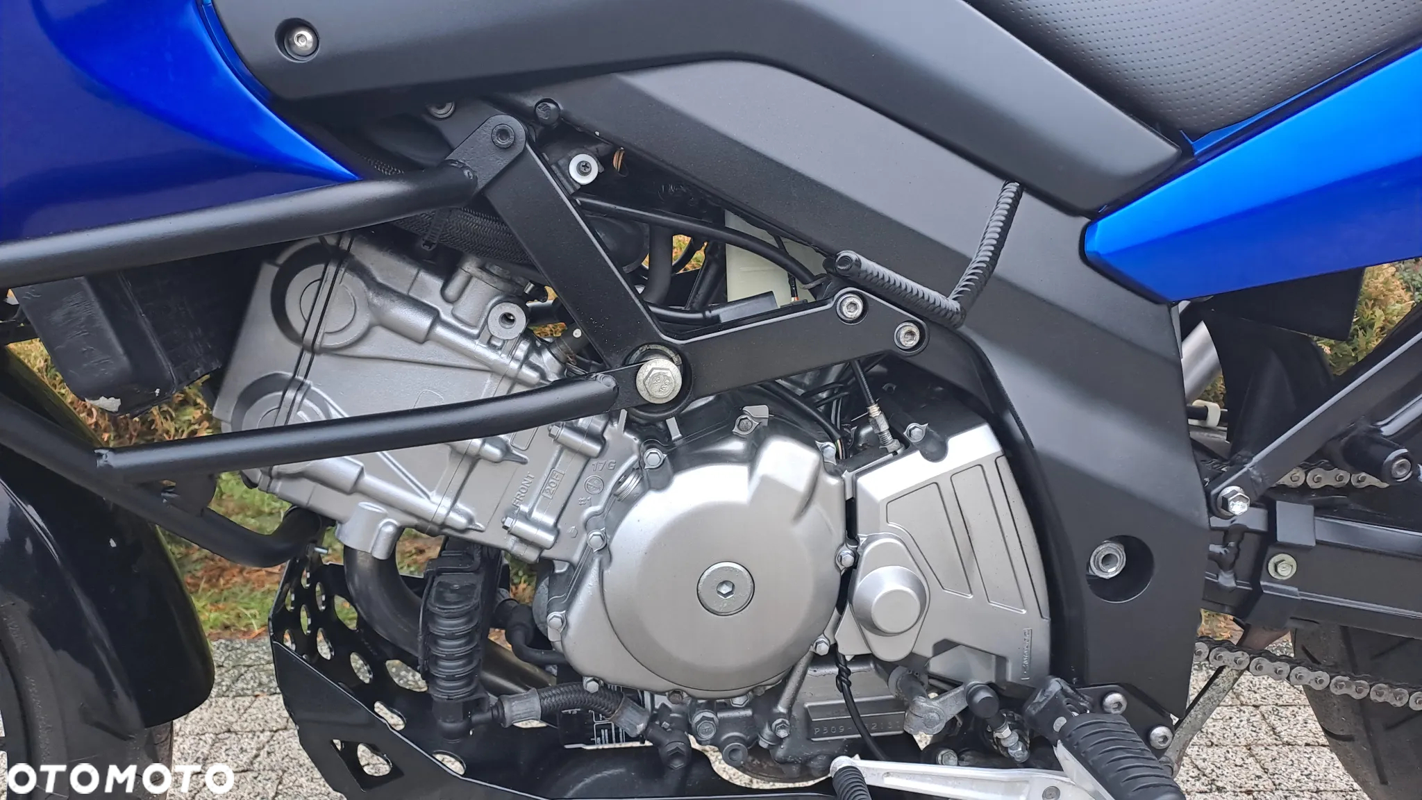 Suzuki DL - 33