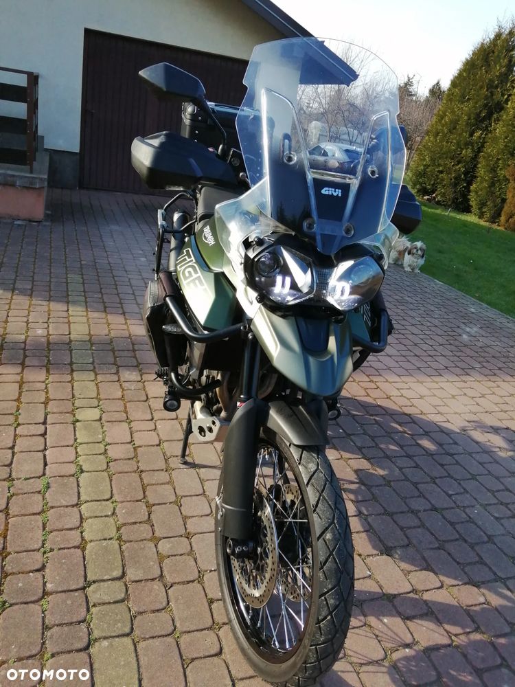 Triumph Tiger - 9
