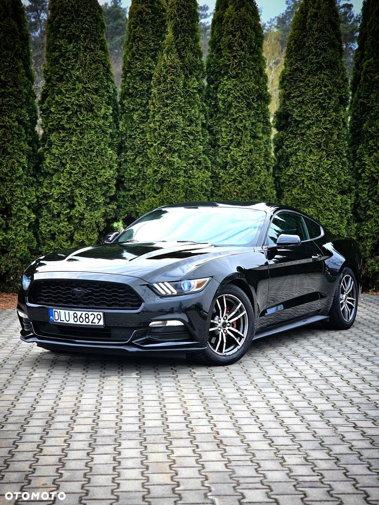 Ford Mustang 3.7 V6 - 3